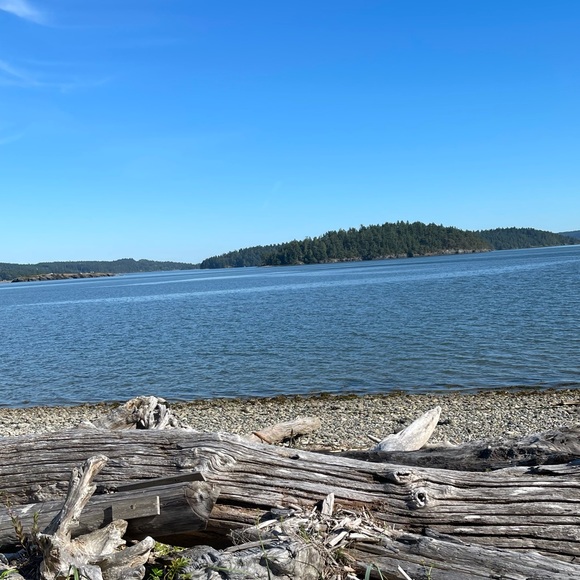 Meet your Posher, Anna - Picture 1 of 1